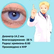 b7fe262b-cc54-495a-84fa-78aa797efd98-син.png