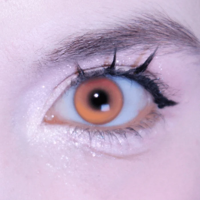 582c25ad-0a5c-429b-87c1-6684d8ddd6e3-3-1.png