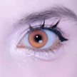 582c25ad-0a5c-429b-87c1-6684d8ddd6e3-3-1.png